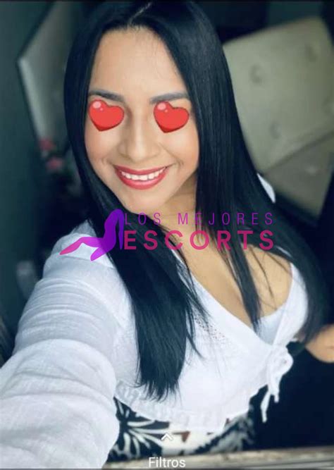 chicas escort pamplona|Putas en la Ciudad de Pamplona